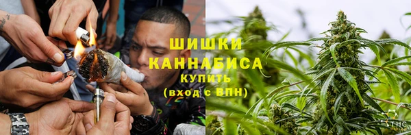 гашик Богданович