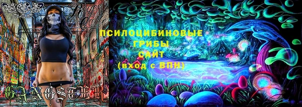 2c-b Богородицк